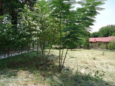 31694 - Club de golf - san francisco - lotes