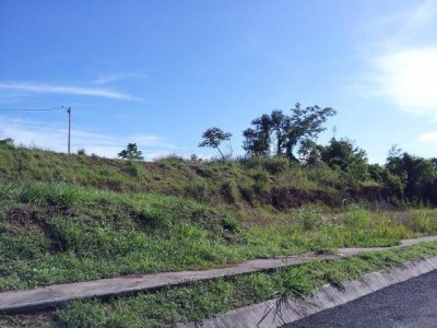 31732 - Ciudad de Panamá - casas - las arboledas