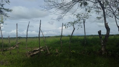 32011 - Pacora - lots