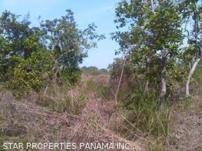 3254 - Cerro silvestre - lotes