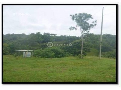 32650 - Colón ciudad - fincas