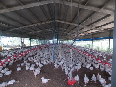 32795 - Avenida justo arosemena - propiedades