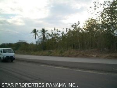 3301 - El roble - lotes