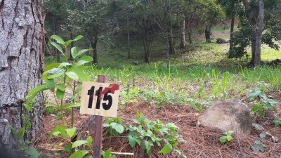 33056 - Altos del maria - lots