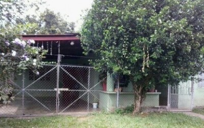 33565 - Bugaba - casas