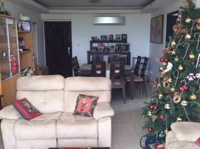 34557 - Clayton - apartamentos - clayton park