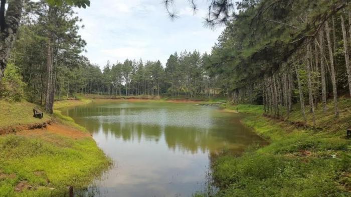 34770 - Cerro azul - casas