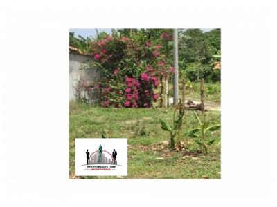 35458 - Las lajas - chame - lotes