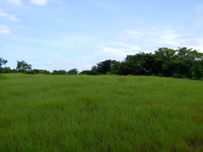 35692 - Santa clara - anton - lotes