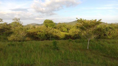 37004 - Santa catalina - fincas