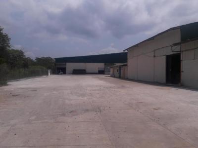 39217 - Vacamonte - locales