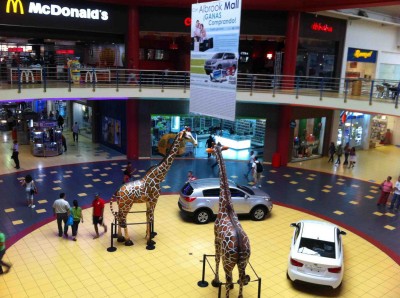 41580 - 24 de diciembre - locales - albrook mall