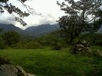 43352 - Santa Fe - propiedades