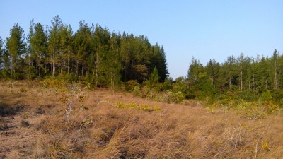 44174 - El retiro - fincas