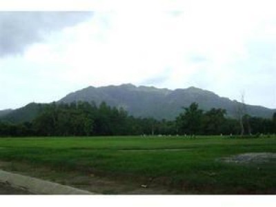 4429 - Cabuya - lotes