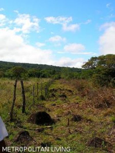 4474 - Caldera - propiedades