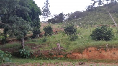 46572 - La Pintada - lotes