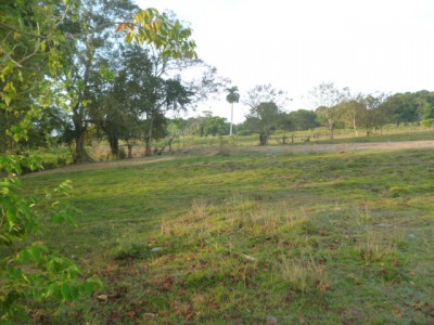 50363 - San Félix - fincas