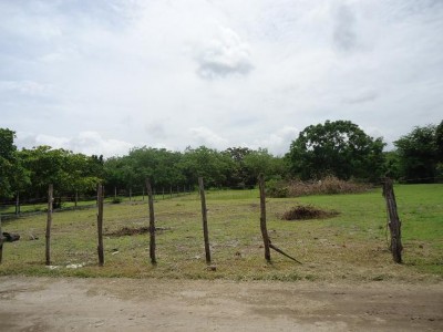 51829 - Coronado - lots