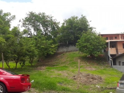 51838 - Betania - lots