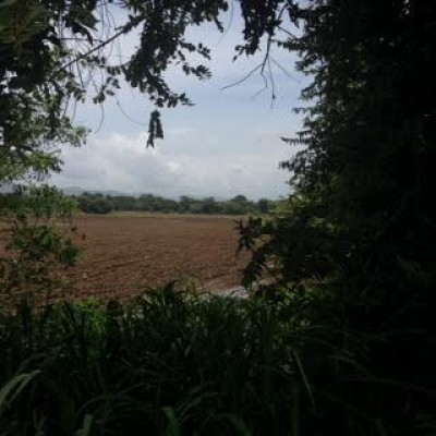 53721 - Pacora - fincas