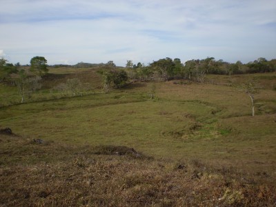 5380 - Bugaba - fincas