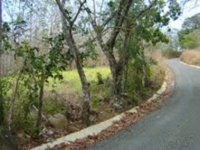 546 - Tonosí - farms