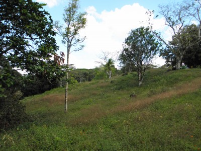 5464 - Villalobos - lots