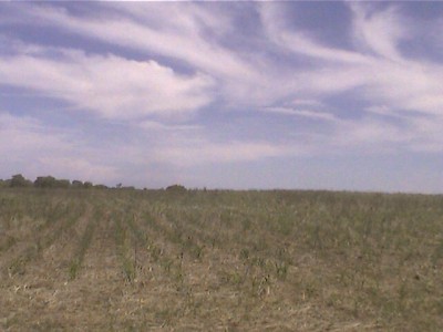 5478 - Rio grande - propiedades