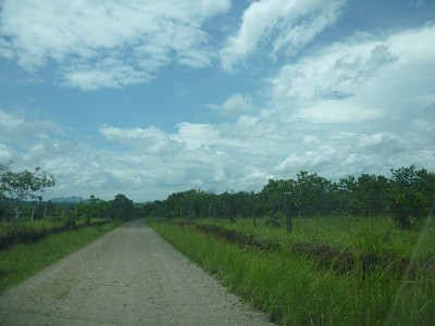 55323 - Veraguas - fincas