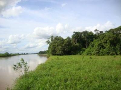 5542 - Chepigana - farms