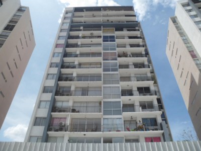 55461 - El bosque - apartamentos