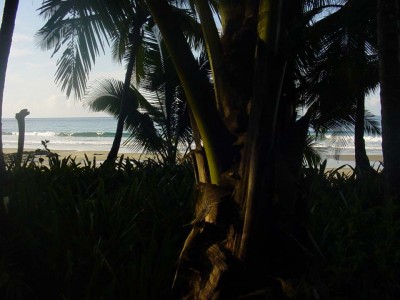 5556 - Montijo - lotes