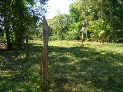 5613 - Las lomas - david - lotes