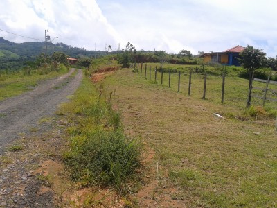 5713 - Chica - lotes