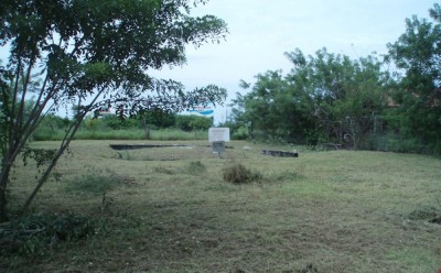 5772 - Nueva gorgona - lots