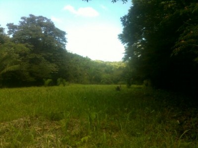 5851 - Santiago de Veraguas - lotes