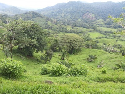 58761 - Isla grande - fincas