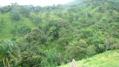 5895 - Soná - fincas