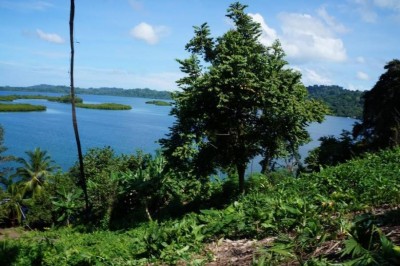 59312 - Tierra oscura - lotes