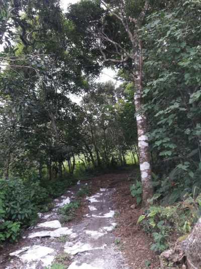 59441 - Jaramillo - lotes