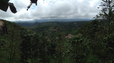 59445 - Jaramillo - fincas