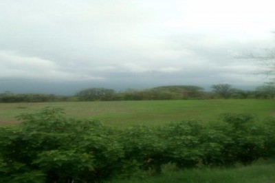 60717 - Maria chiquita - lotes