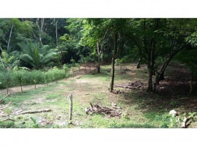 62356 - Las cumbres - lotes