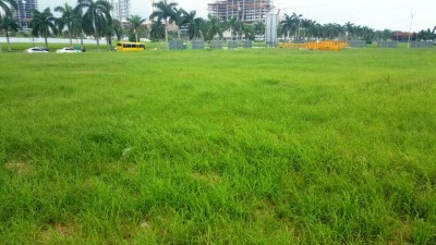 63350 - Costa del este - lotes