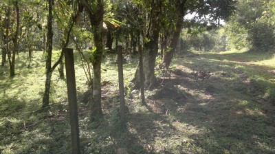 6392 - Chiguiri arriba - fincas