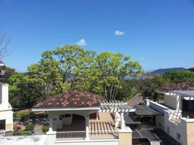 64753 - Cocoli - apartamentos