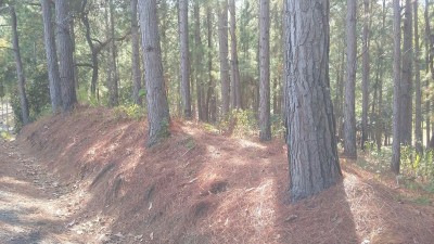 67056 - Altos del maria - lotes