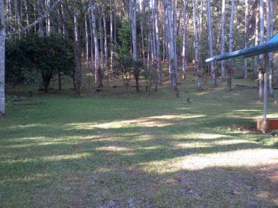 6731 - Cerro azul - casas