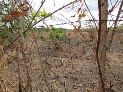 71847 - El coco - la chorrera - lotes